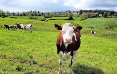 Les ateliers pour la fabrication des fromages Bio de la marque R BIO et Jean Roussey Fromager