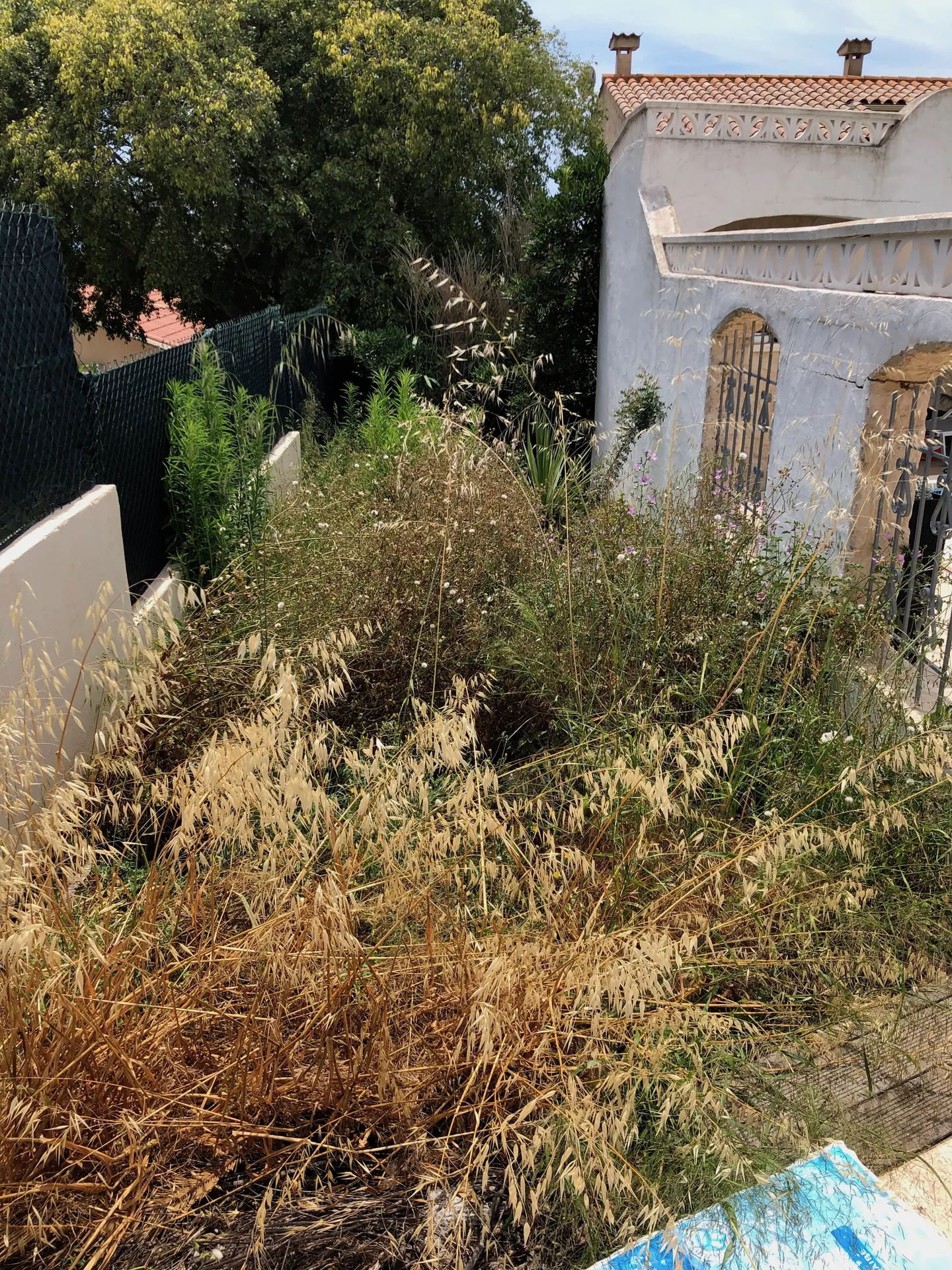 Partie devant (Avant)