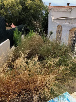 Partie devant (Avant)