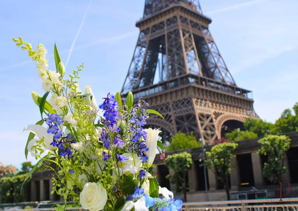 Cocktail & Réception sur les Salons