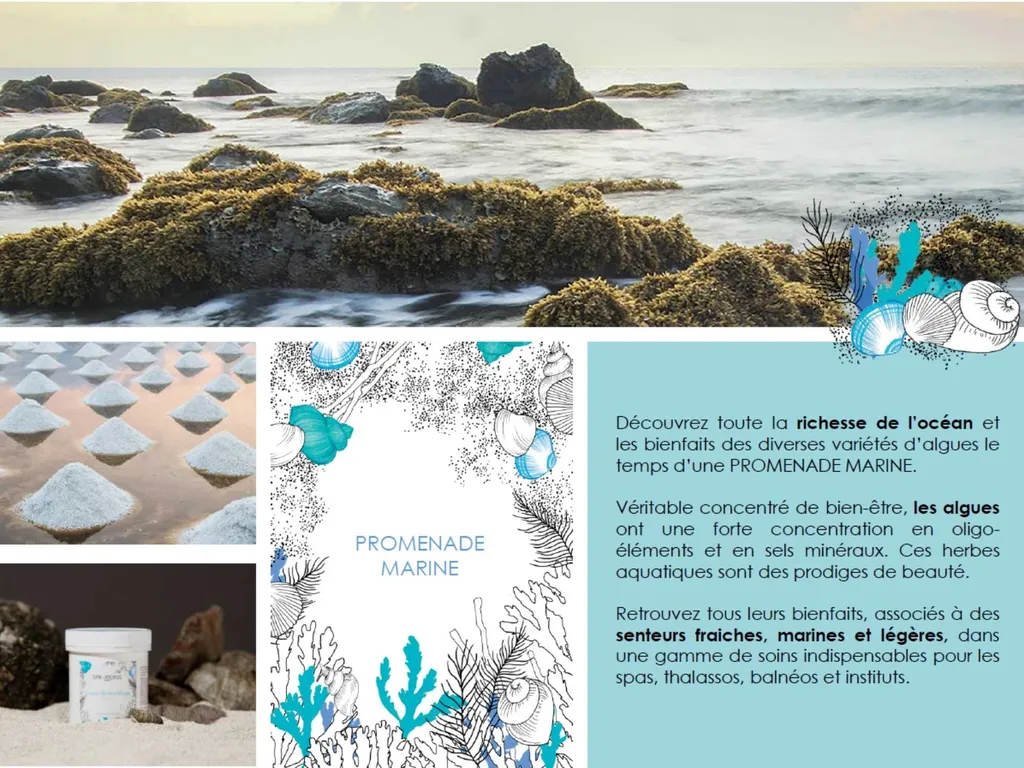 Promenade marine - Pour revitaliser le corps, reminéraliser la peau et offrir une relaxation profonde et durable