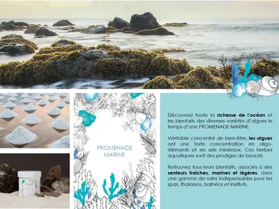 Promenade marine - Pour revitaliser le corps, reminéraliser la peau et offrir une relaxation profonde et durable