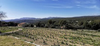 Vente villa Cassis dans les vignes