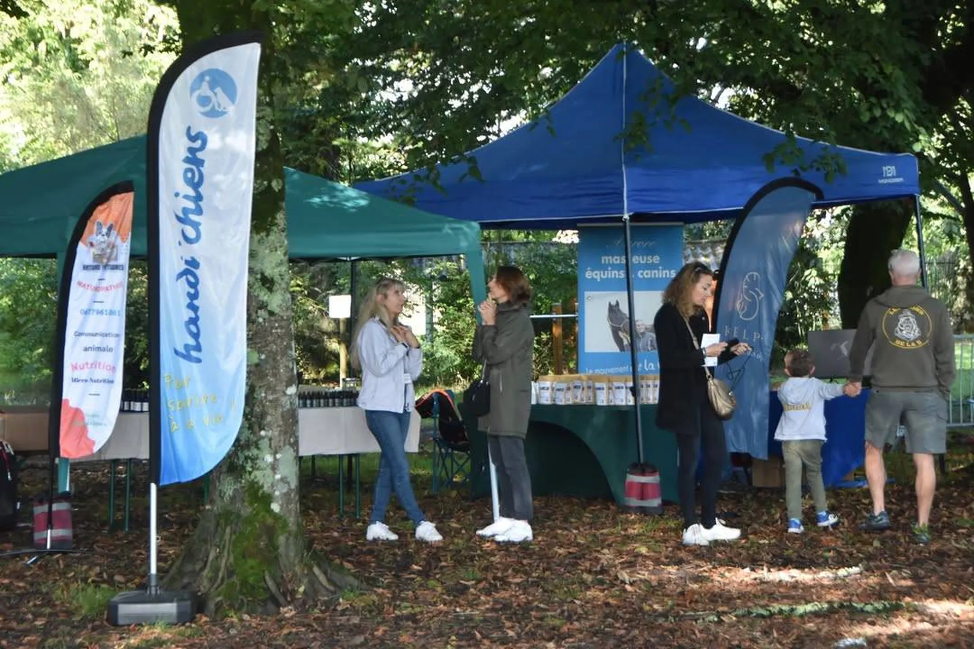 les handichiens sur le bassin d'arcachon