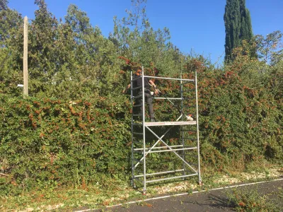 Entretien d'espaces verts d'entreprise sur Avignon