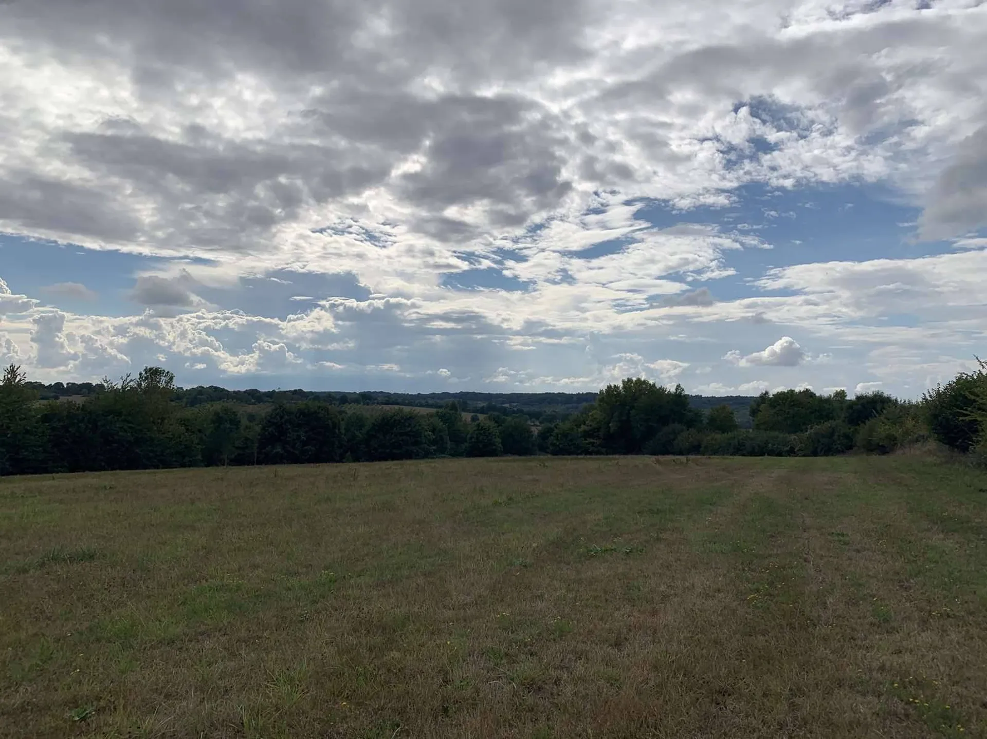 SUD PAYS D'AUGE CALVADOS  A VENDRE TERRAIN AGRICOLE DE 4 HA 70 A