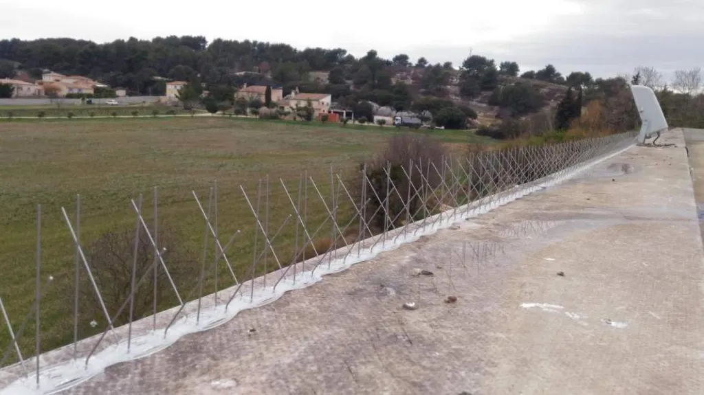 pic anti pigeon plan de campagne cabriès 13