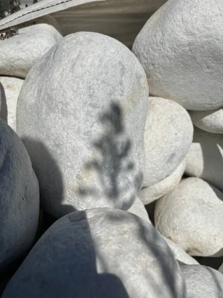 GROS GALETS XL BLANC