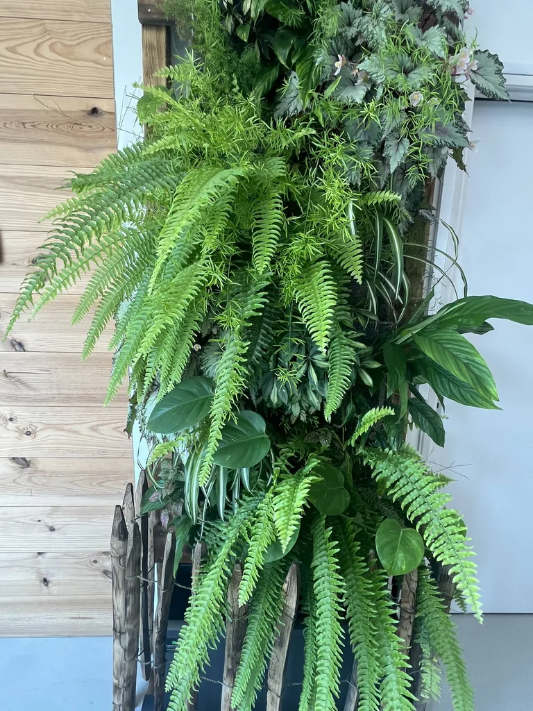 Optez pour un mur végétalisé d'intérieur à Sanguinet dans les Landes dans votre showroom