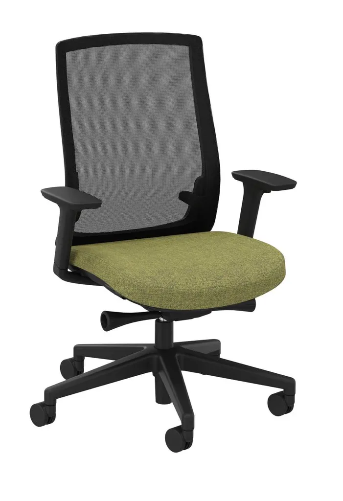 Fauteuil Papillon Color Buronomic avec accoudoirs réglables à Alès Gard