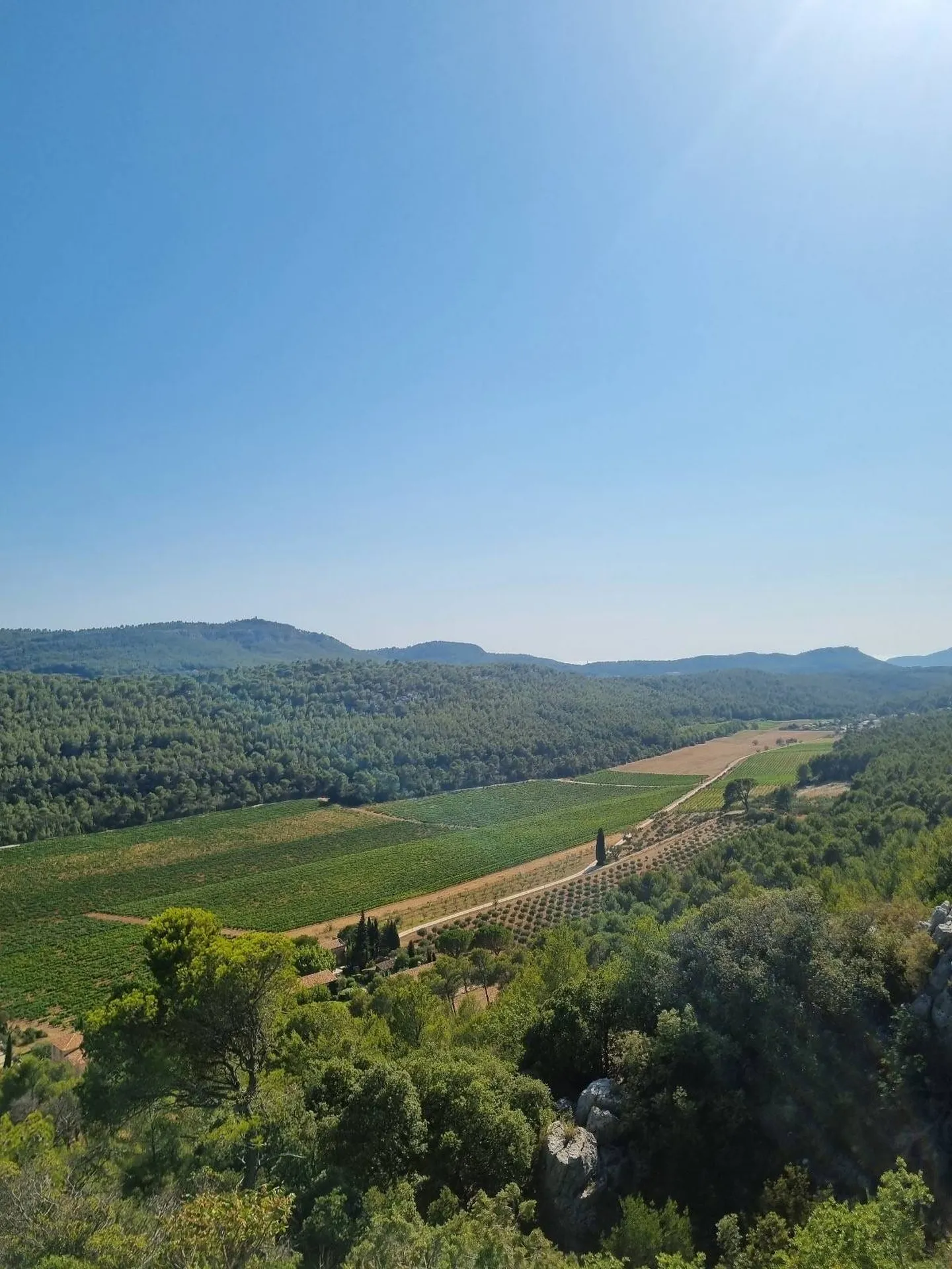 Propriété d'exception au cœur des vignes de Roquefort la Bédoule