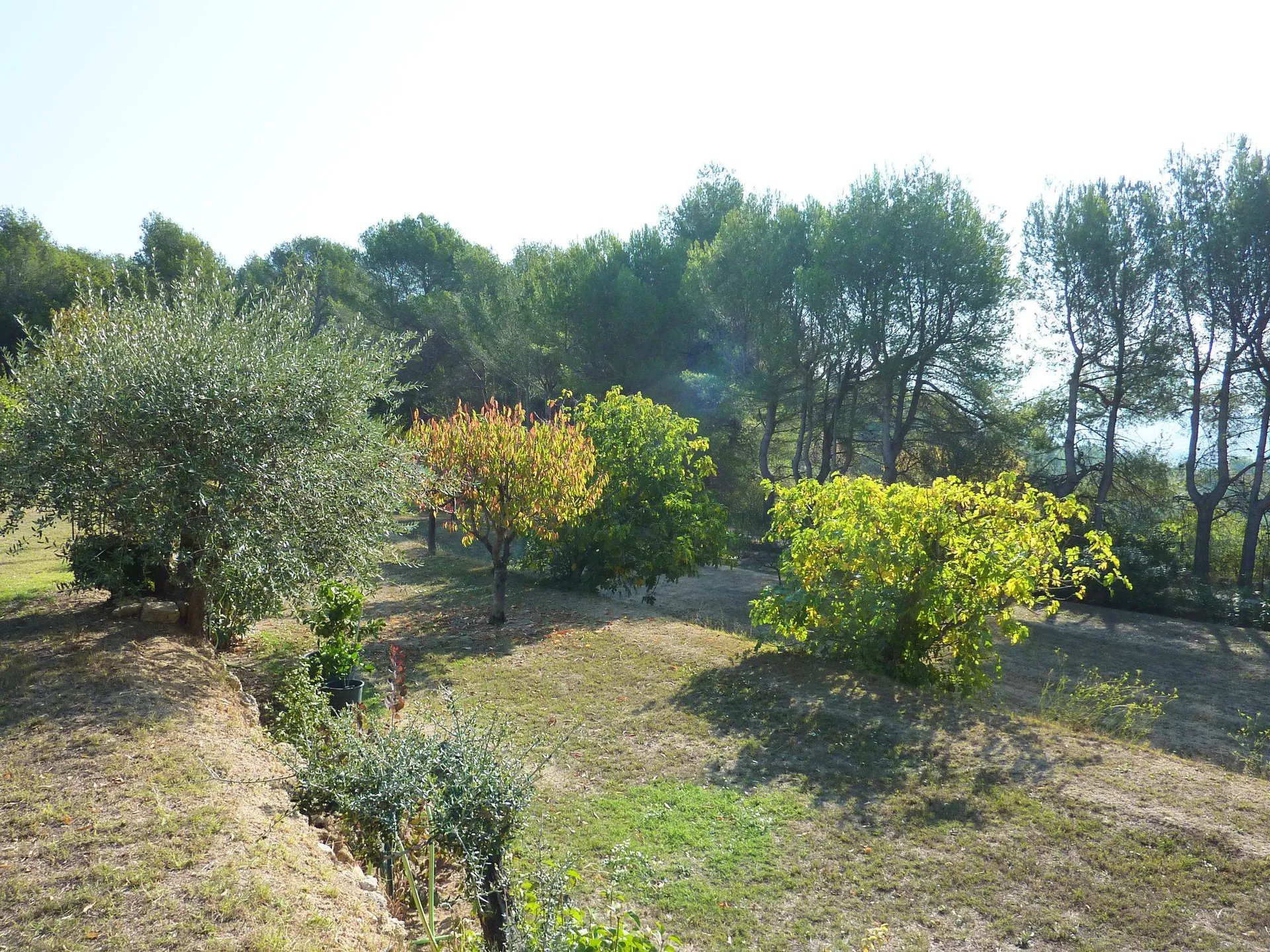 Propriété sur plus d'un hectare 13400