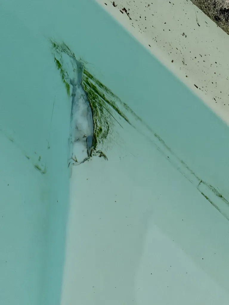 intervention rapide pour le remplacement d'un liner de piscine à Lacanau