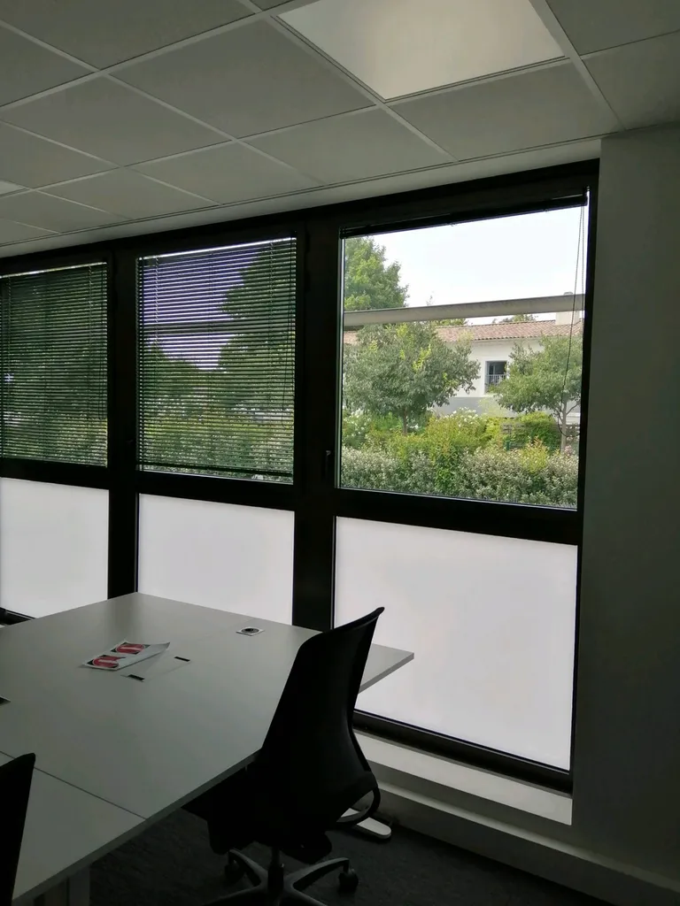 Pose de films intimité,occultants et décoratif sur cloisons vitrées. Nice 06.