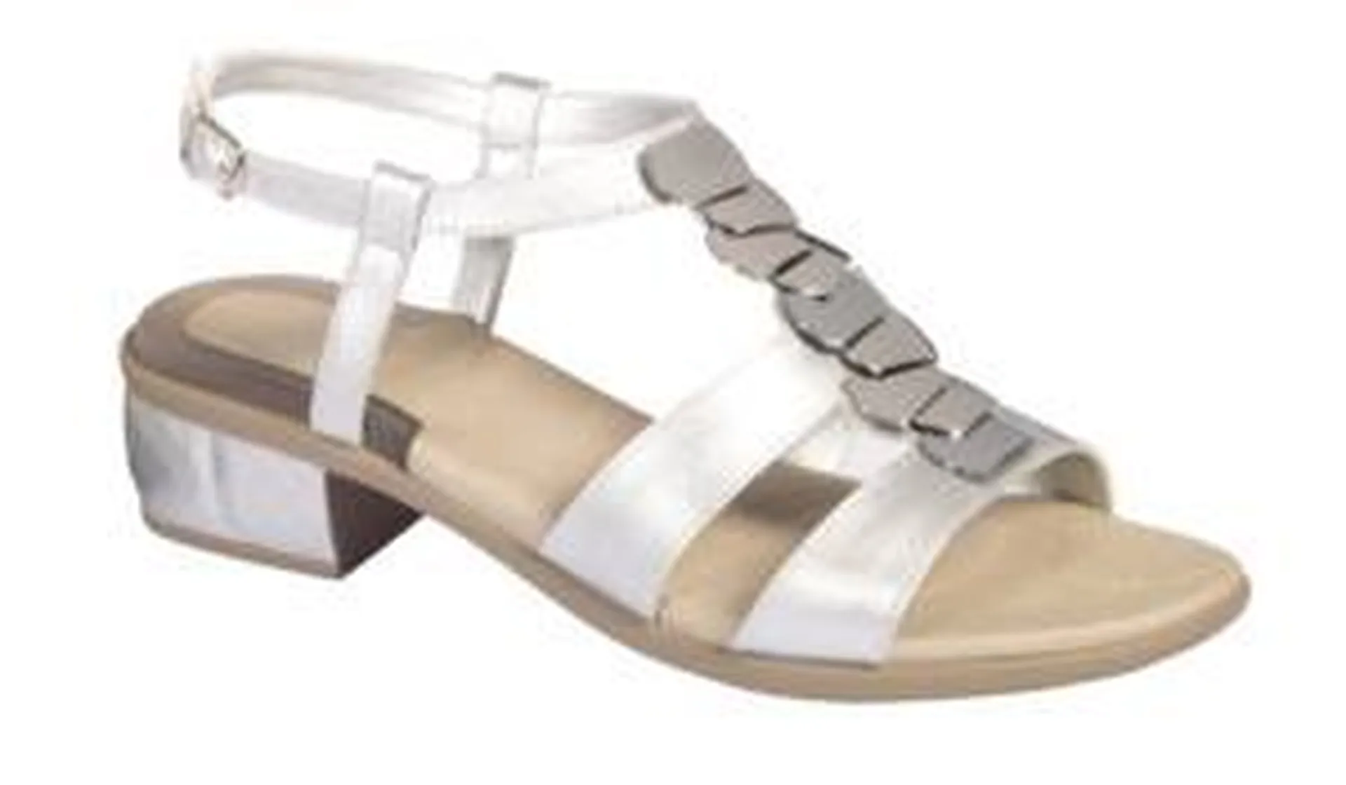 modele calypso 2019 été scholl