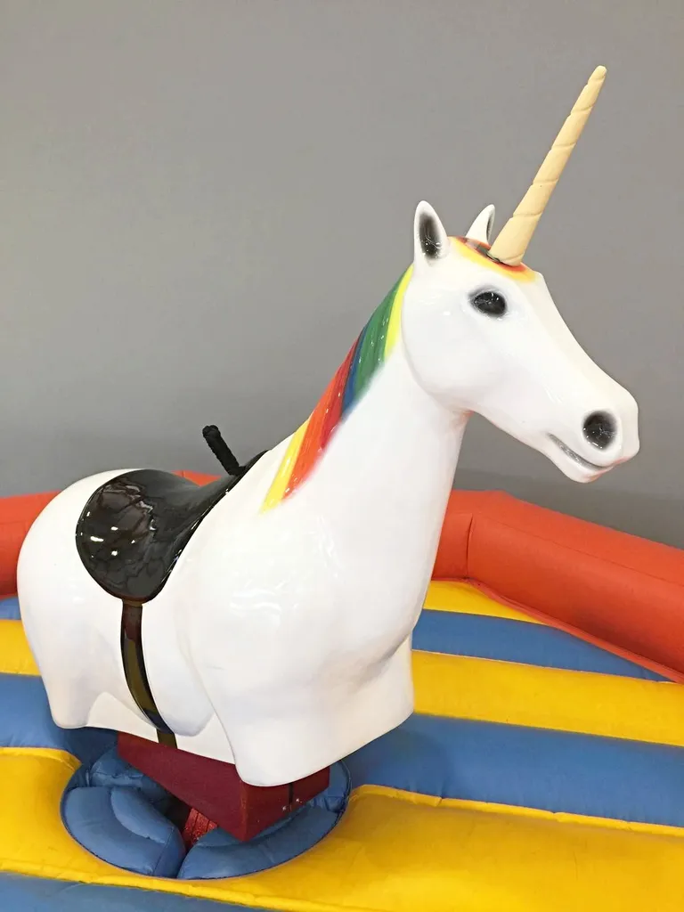Animation rodéo licorne partout en france