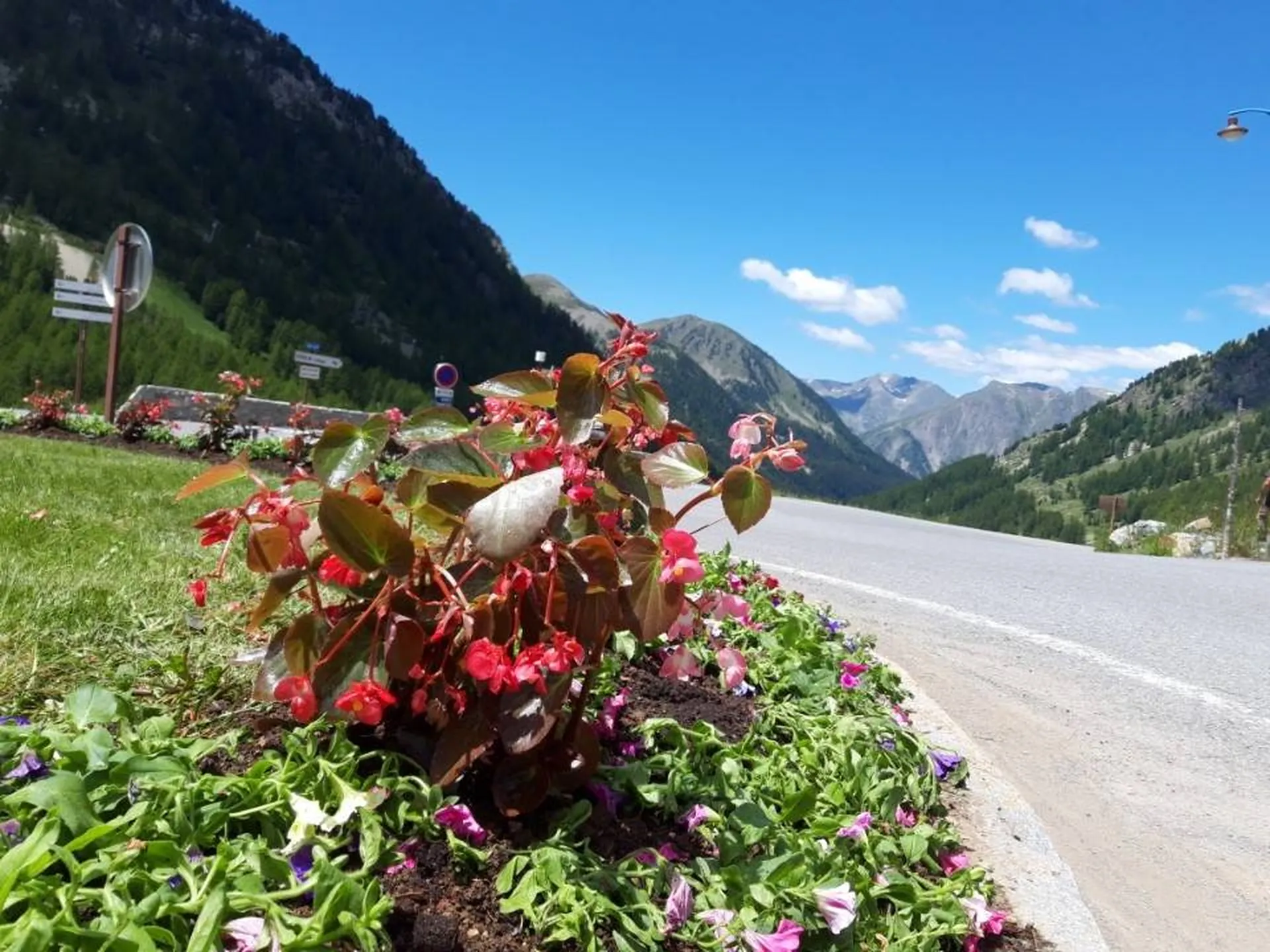 Entretien et fleurissement de rond point dans les Alpes Maritimes