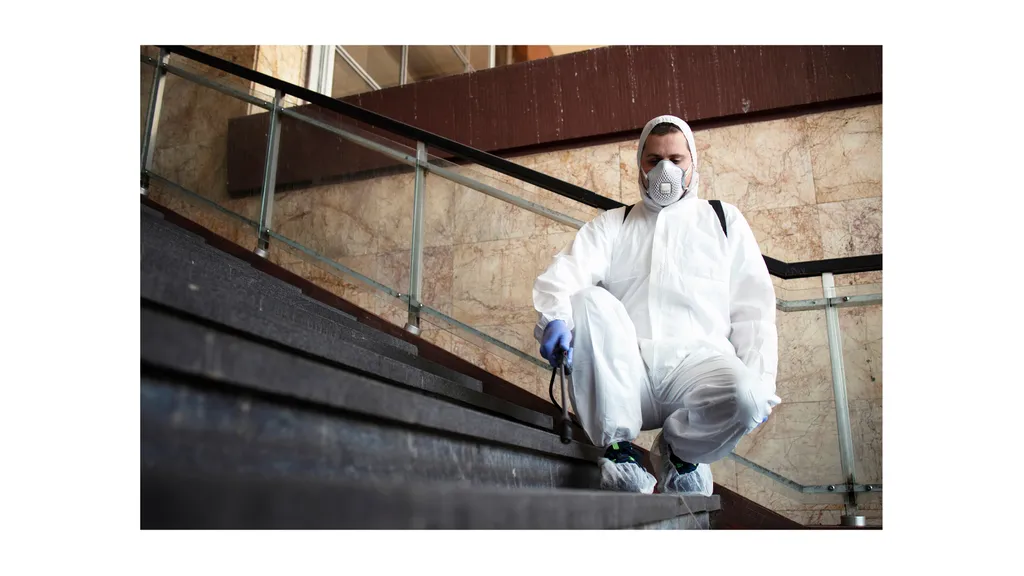 Que faire en cas d’infestation de nuisibles dans un commerce ou un restaurant à Toulouse ?