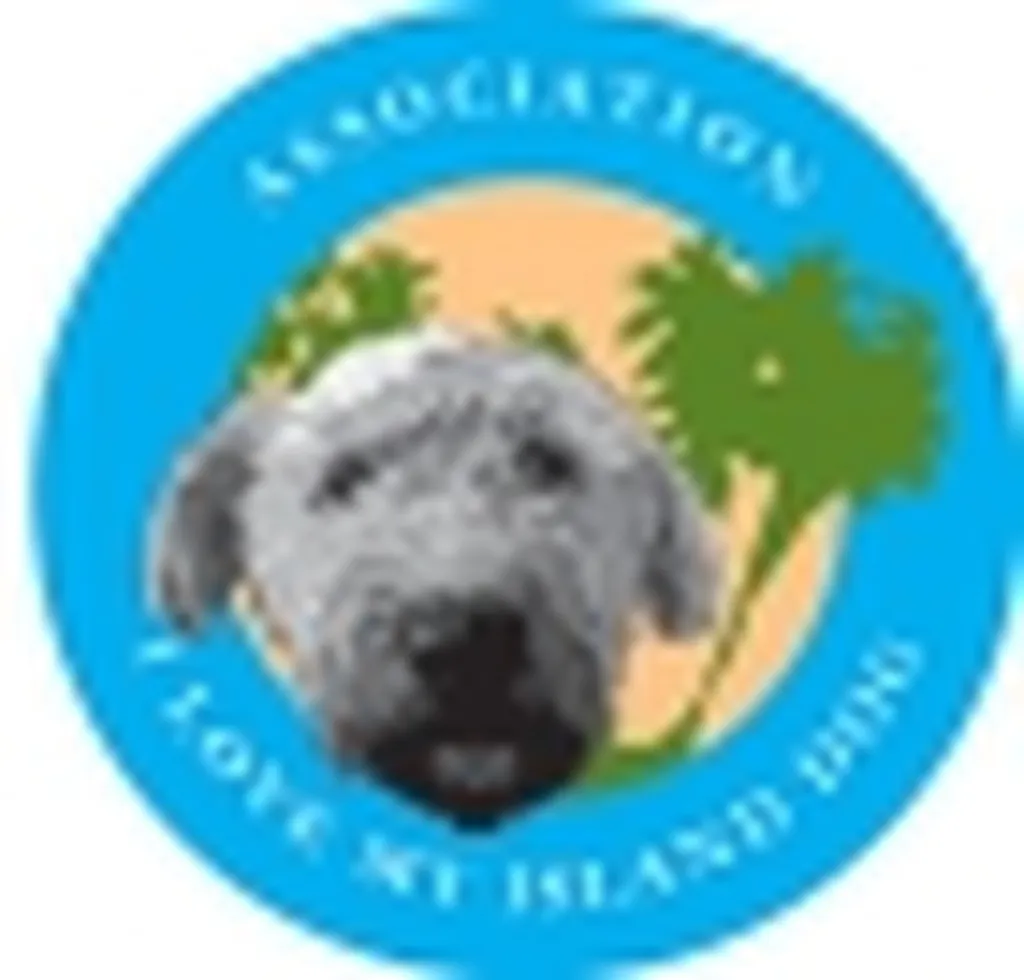 Association SAINT MARTIN I Love My Island Dog