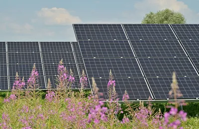 Panneaux photovoltaïque.
