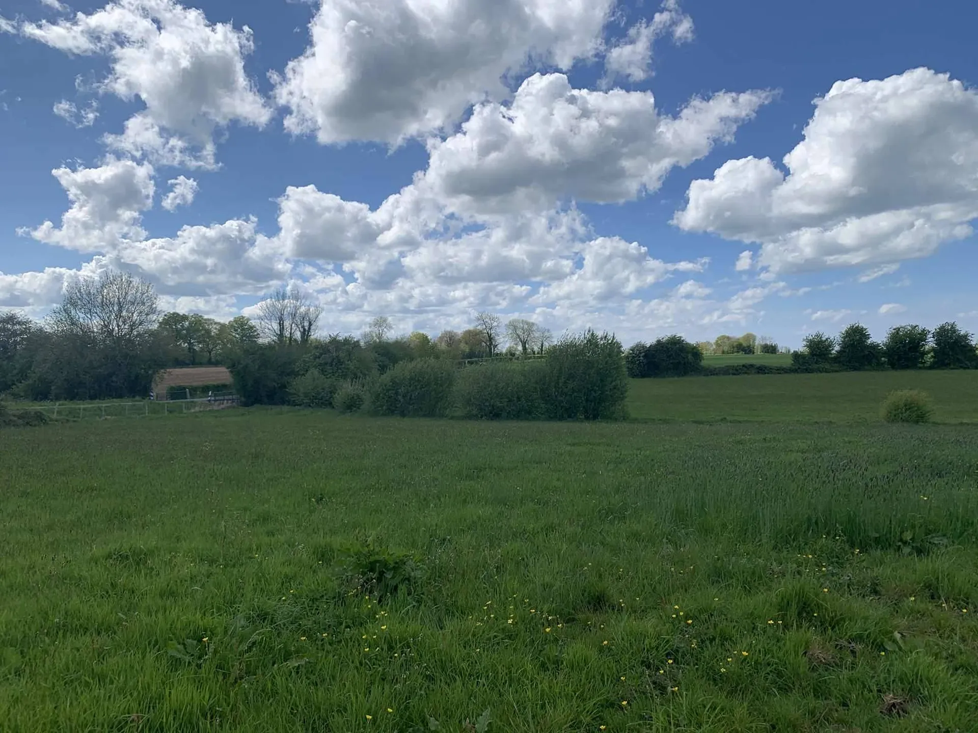 PAYS D'AUGE NORD : EN EXCLUSIVITE : A ACQUERIR REGION HONFLEUR : 35 HA de TERRES