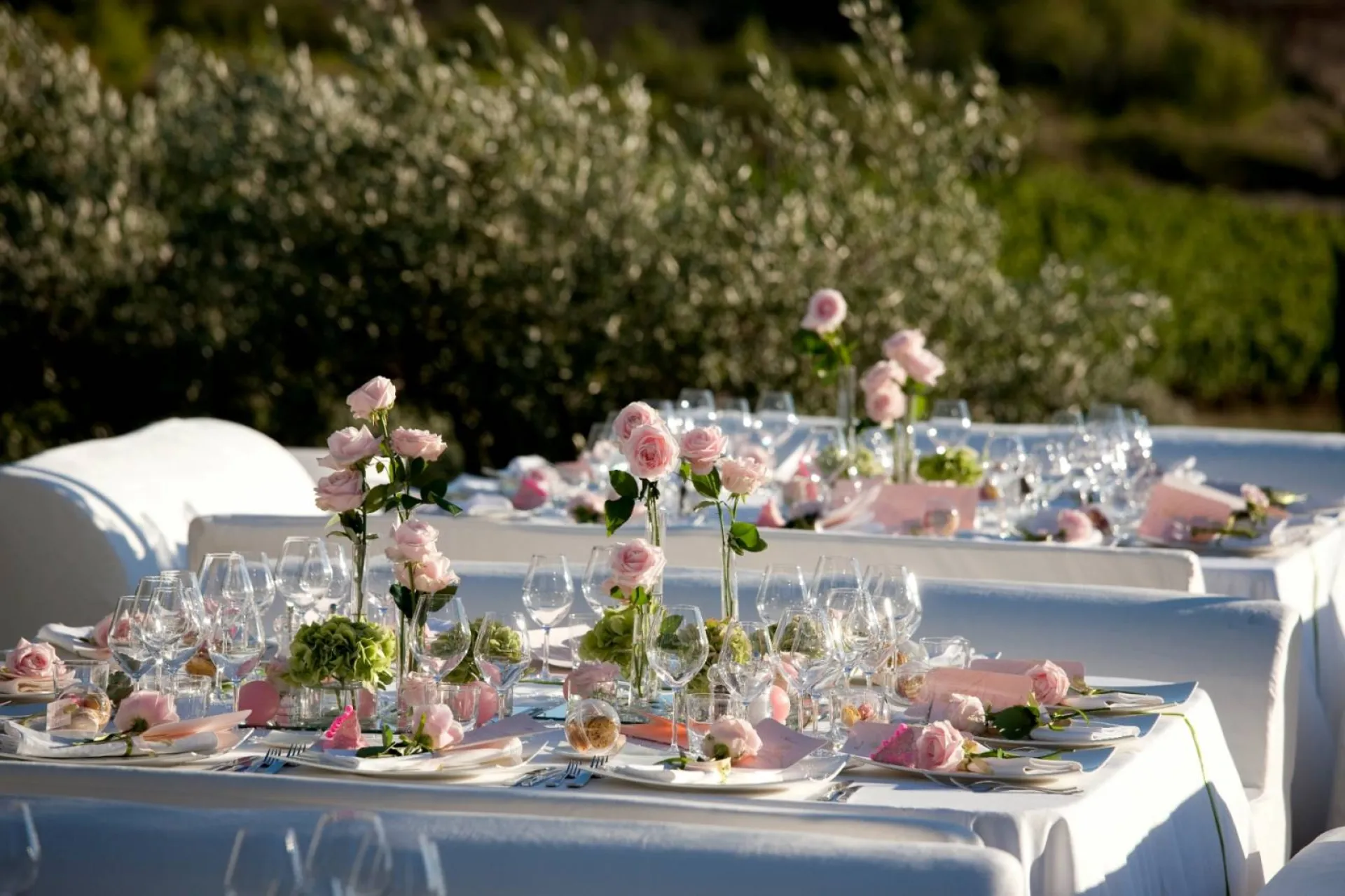 Art de la table, nappage, serviettes, chaises de réception