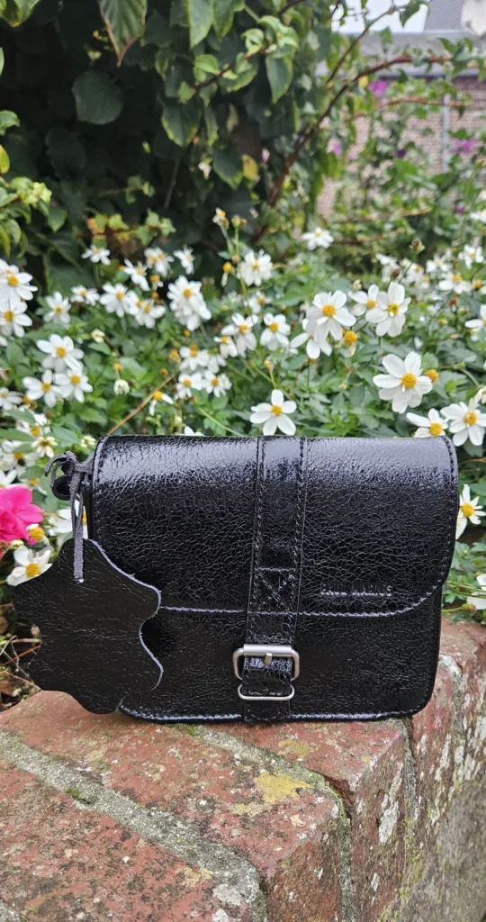 Notre zone d'activité pour ce serviceMaroquinerie avec sacs, bagages et accessoires près de Neufchâtel-en-Bray 76270