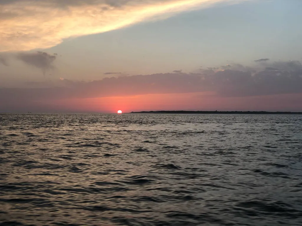 Nos prestations sur le secteur deà Lège-Cap Ferret sur le bassin d'Arcachon