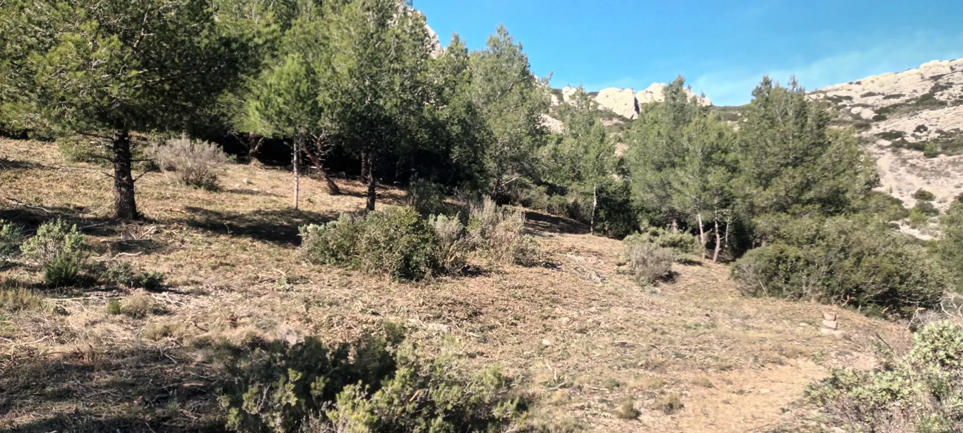 trouver un jardinier pour débrouiller terrain calanques marseille