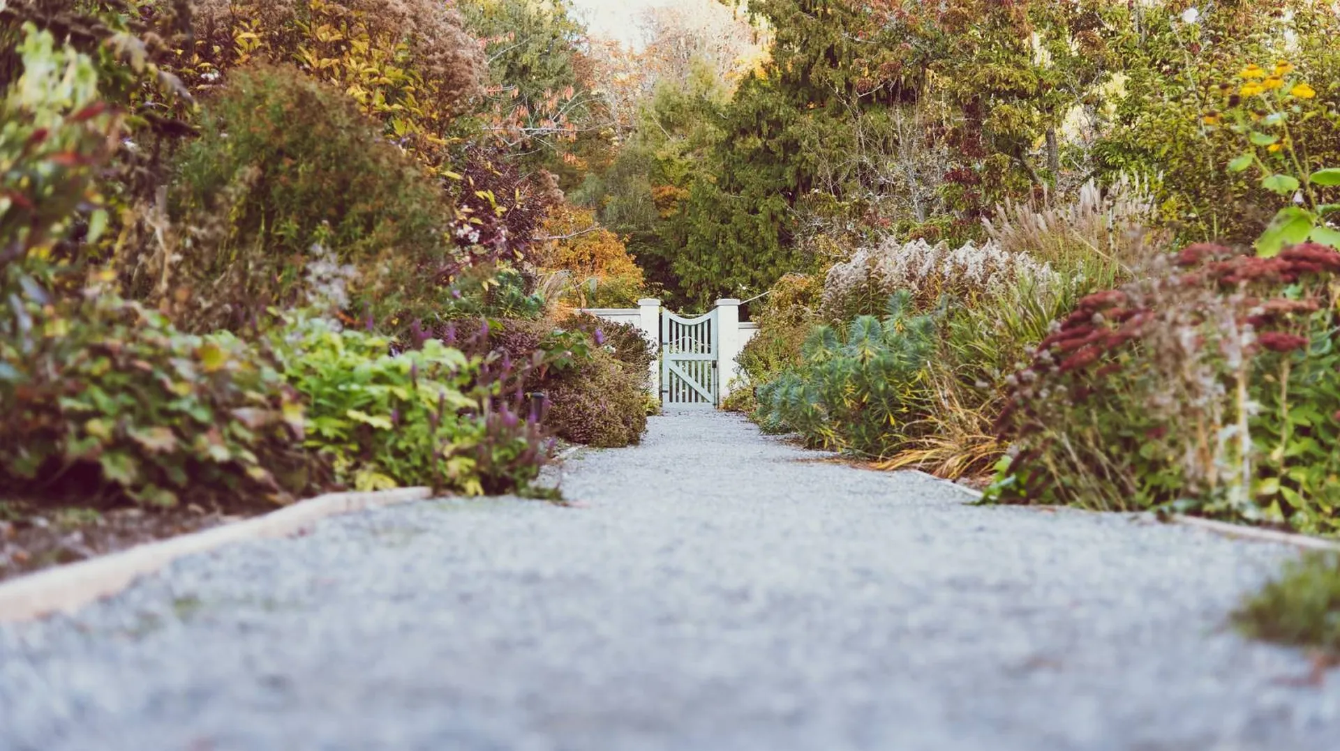 Aménagement d'un chemin sur la commune de Gradignan 