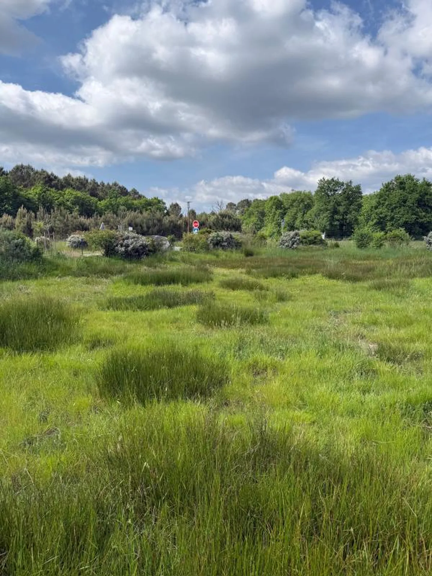 Terrain à bâtir de 559m² sur la commune de Salaunes viabilisé et idéalement localisé proche du centre