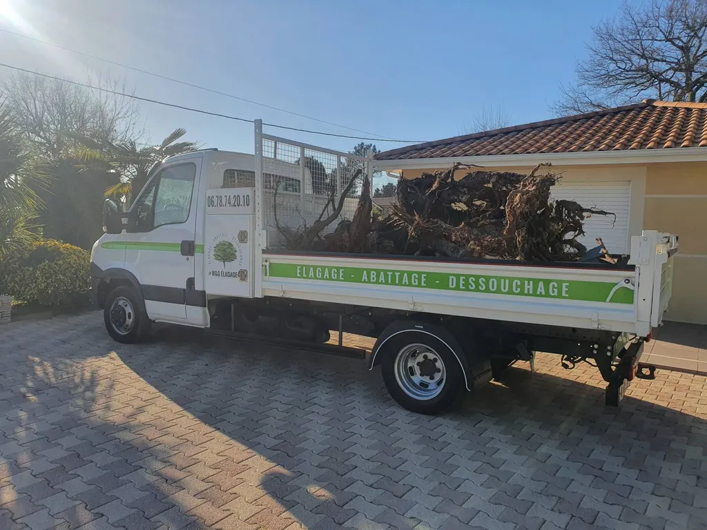 W&G élagage ces votre entreprisse de d'élagueur professionnel pour tout vos travaux de dessouchage et de rognage de souche à Bordeaux