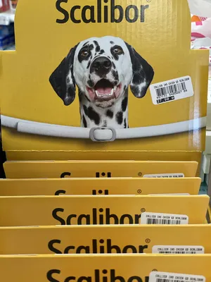 scalibor collier grand chiens