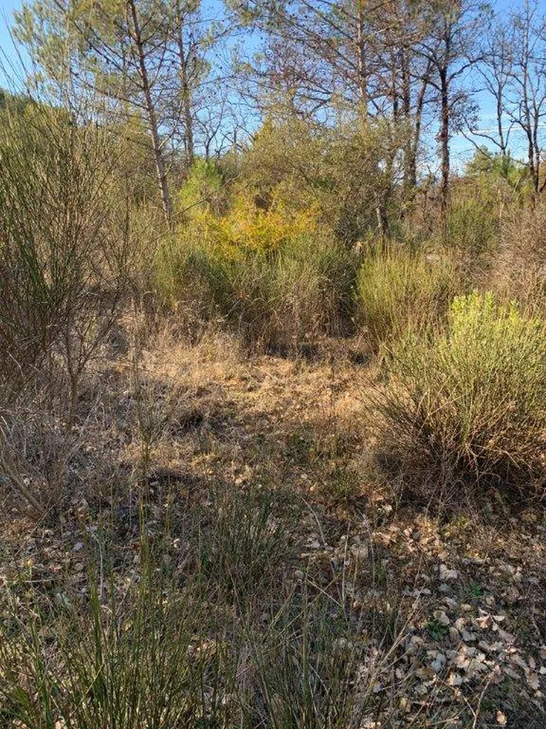 Grand terrain constructible à vendre dans le Var