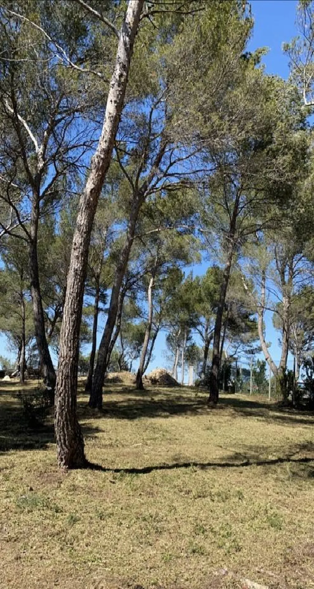 Differentes techniques de debroussaillement Bouc Bel Air