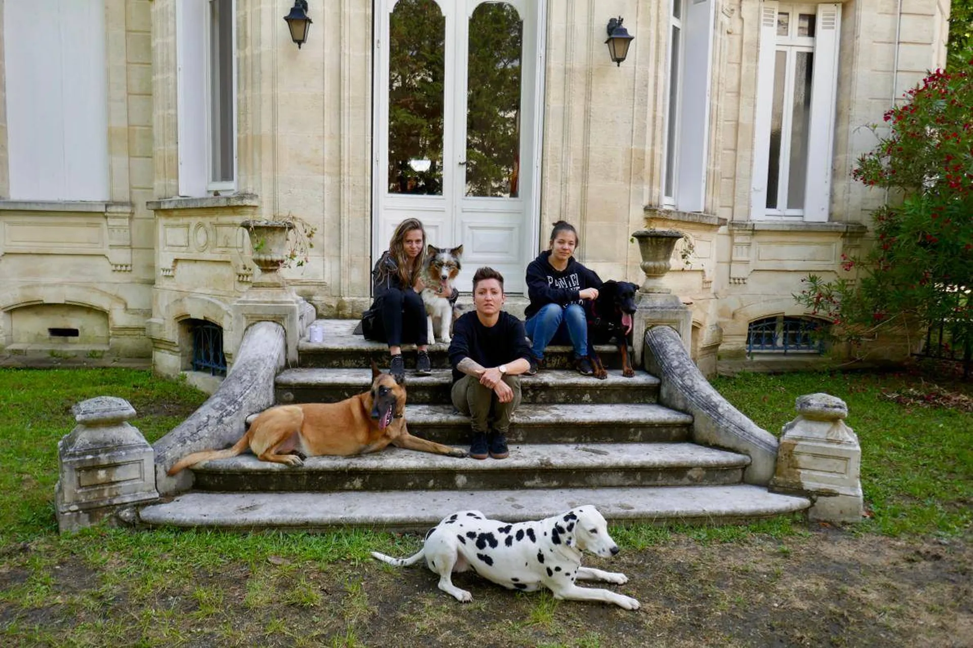 centre de formation de comportementaliste canin gironde