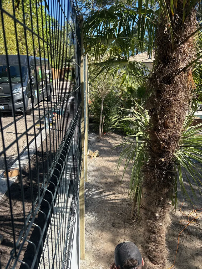 Création d’un brise vue végétal à Biscarrosse dans les Landes