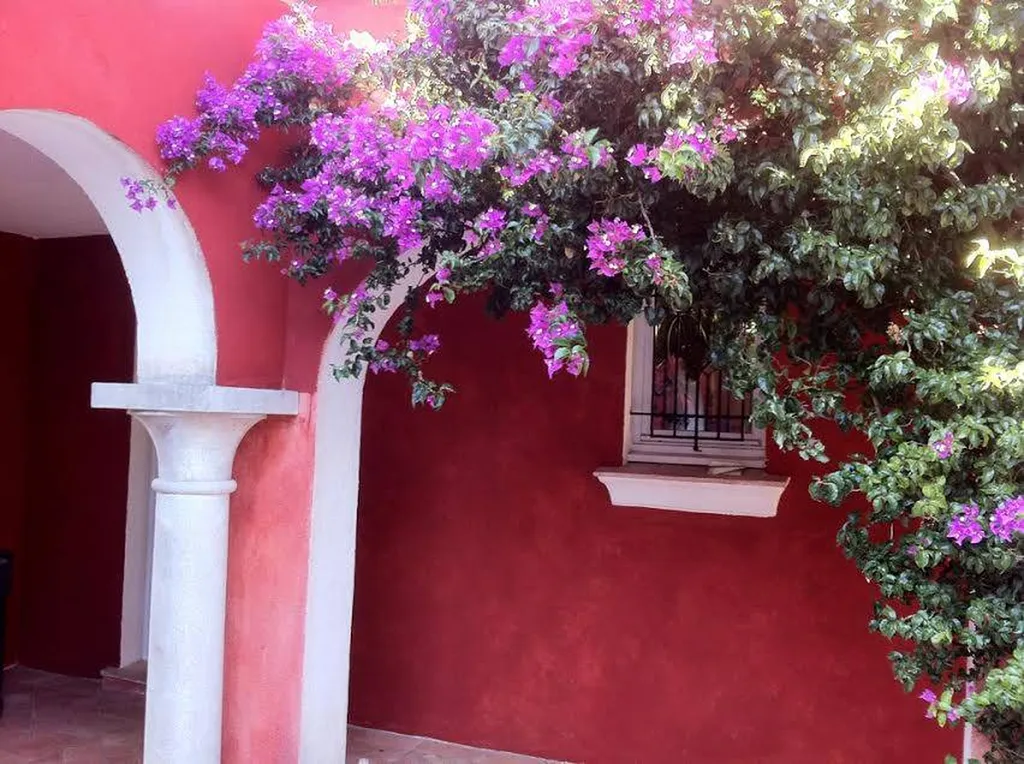 Façade BADIGEON DE CHAUX et Glacis DE TERRE DU MONDE-SAINT TROPEZ 