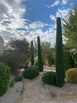 Entretien de jardin par des paysagistes dans les Alpilles, à 1 heure d'Aix-en-Provence 13090, pour des espaces extérieurs soignés et harmonieux 