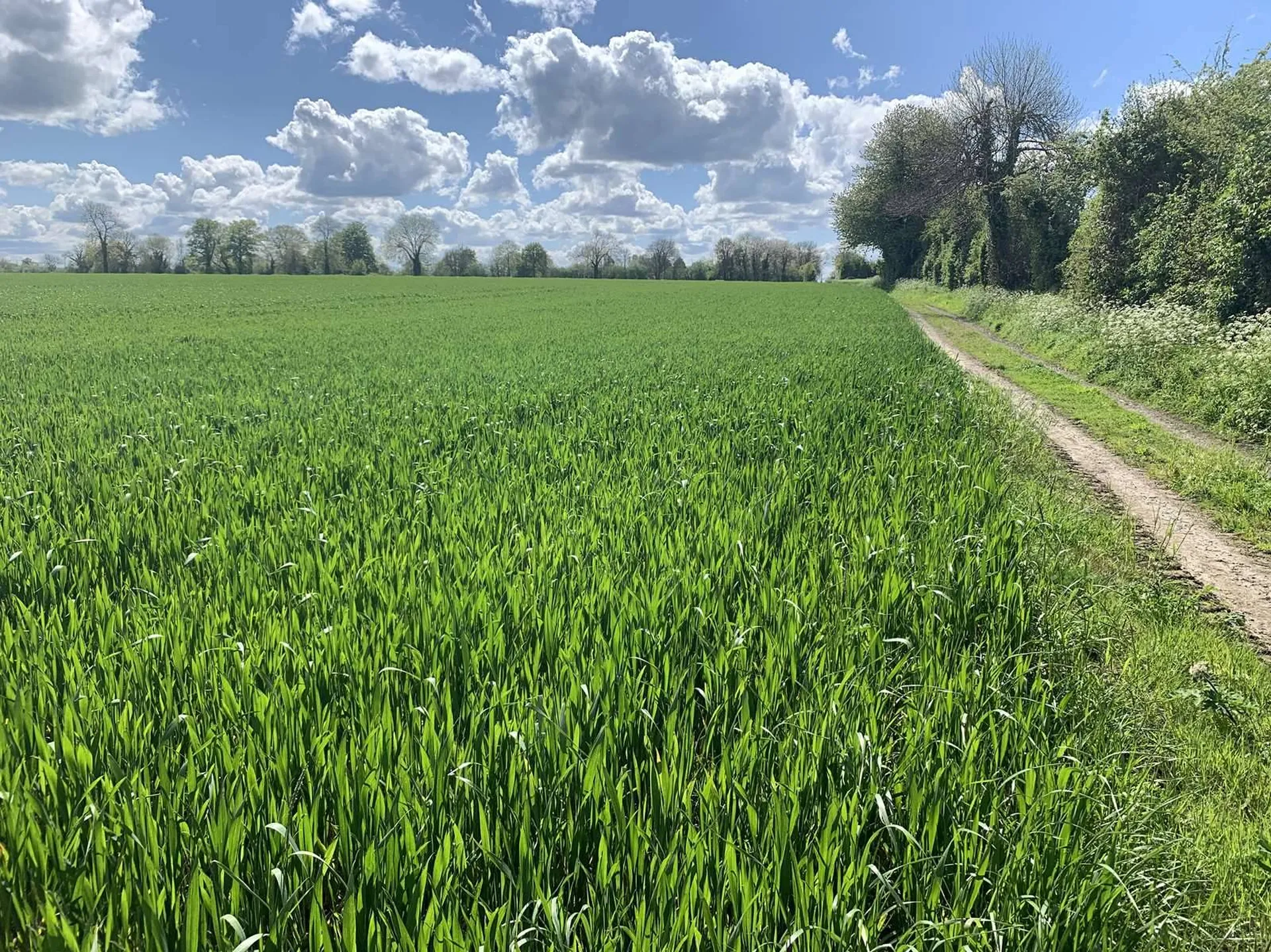 PAYS D'AUGE NORD : EN EXCLUSIVITE : A ACQUERIR REGION HONFLEUR : 35 HA de TERRES