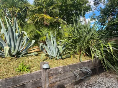 Massif paysager à Piraillan, Lège Cap-Ferret