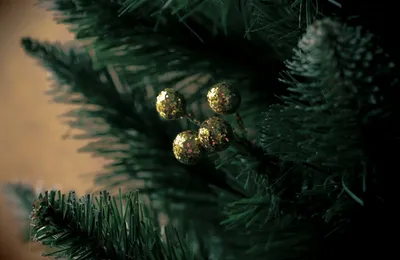 Arbre de Noël avec courses de karts pour salariés et familles à Rouen