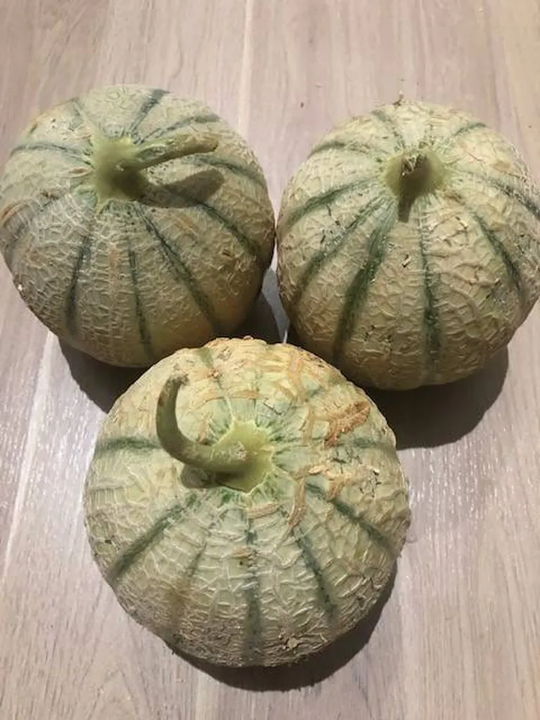 Livraison direct producteur de Melons de Provence à Marseille