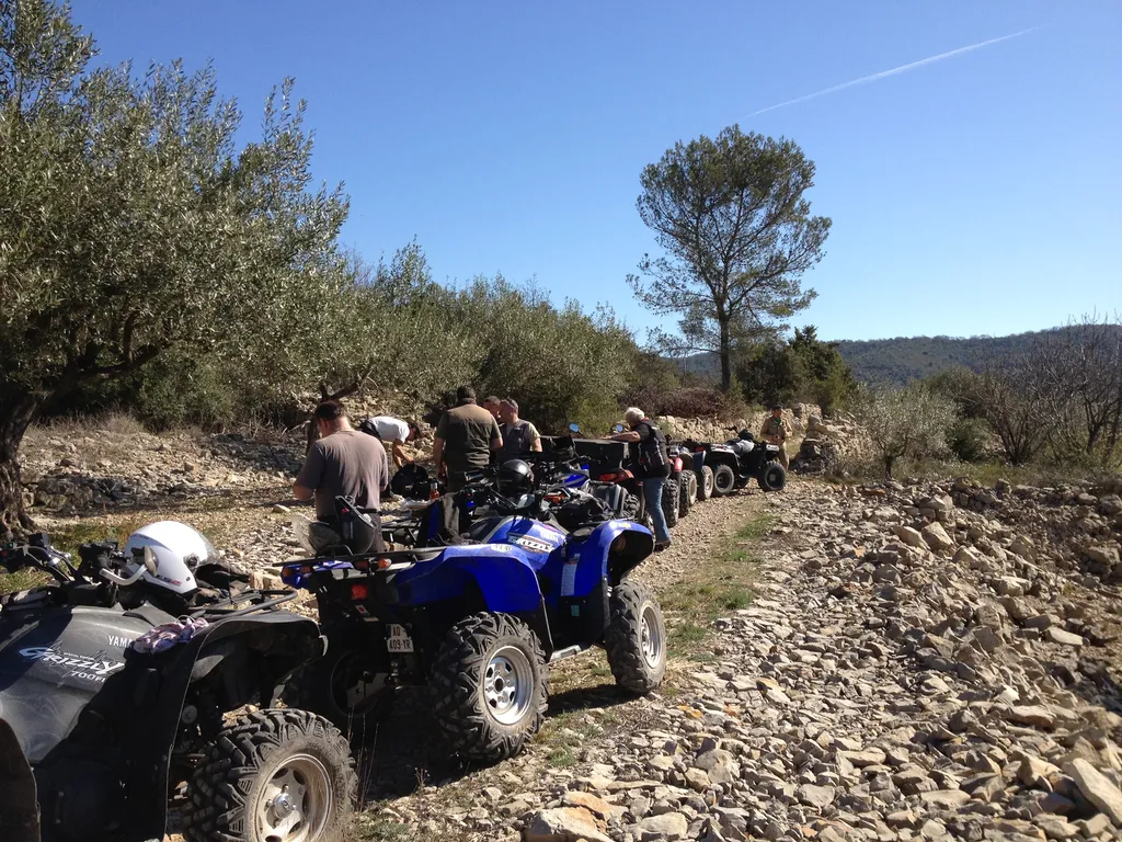 sur votre DOMAINE VITICOLE en provence pour vos clients