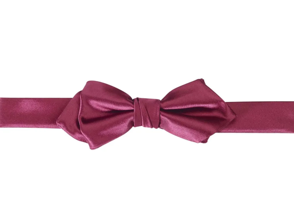 photographe accessoires textile Lyon noeud papillon bordeaux 