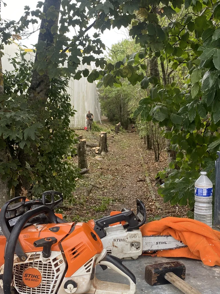 Faire réaliser l abattage de nombreux arbres et le broyage de branches à Balma proche de L Union en Haute Garonne