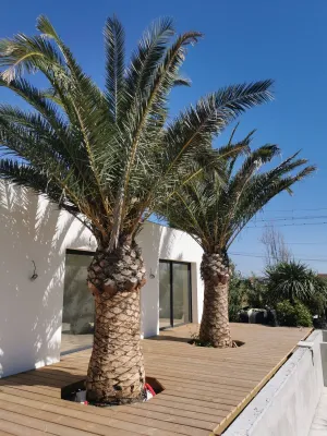 ARCHITECTE PAYSAGISTE VS PAYSAGISTE CONCEPTEUR : QUELLES DIFFÉRENCES POUR VOTRE JARDIN SUR LE BASSIN D'ARCACHON ?