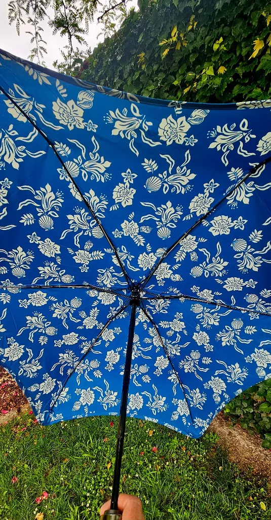 Parapluie pliant automatique Isotoner chez Evasion à Eu