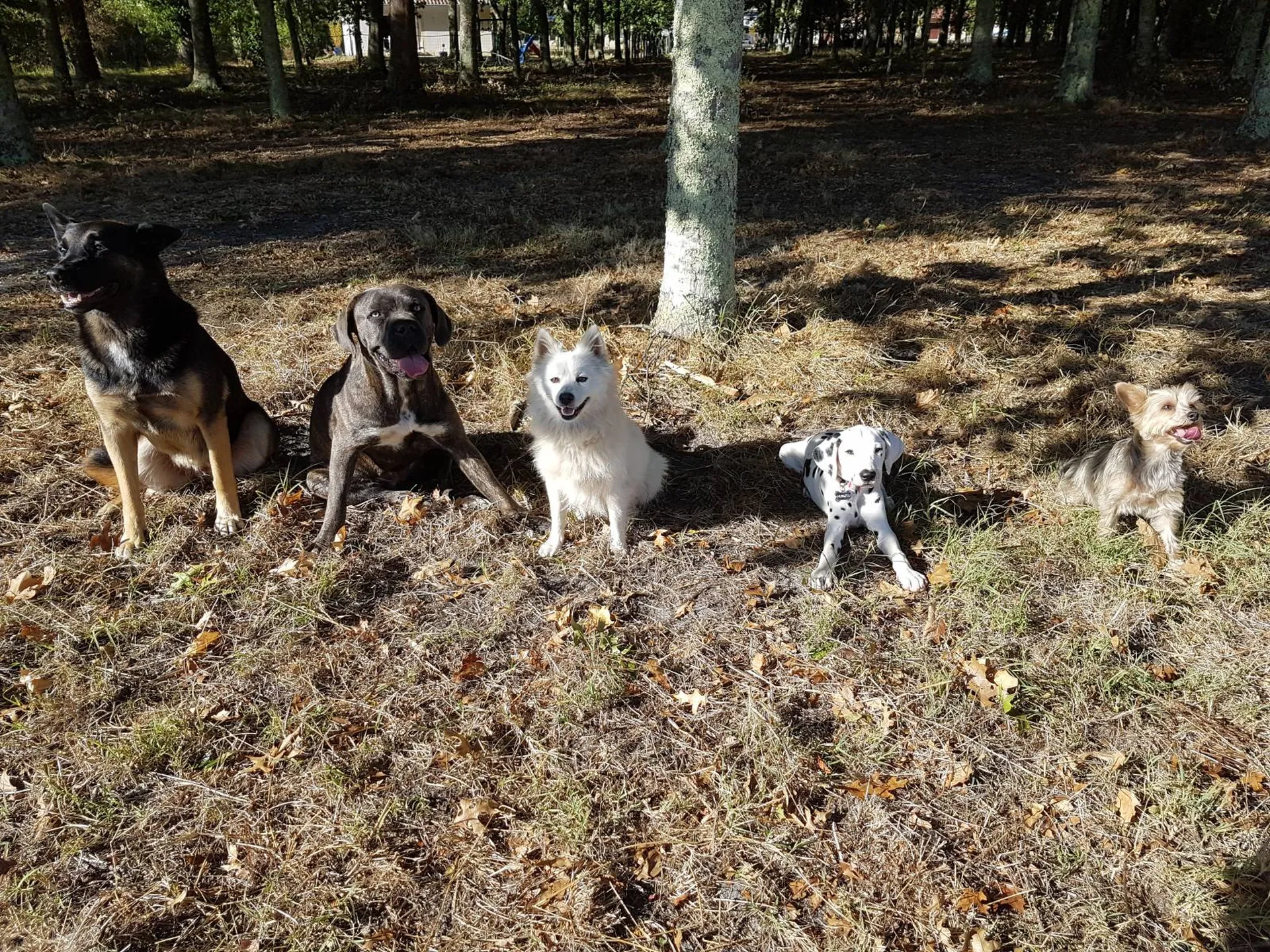 Balades Educatives sur la région bordelaise et le Bassin d'Arcachon.