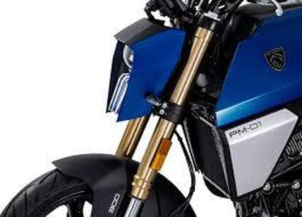 MOTO NEUVE PEUGEOT PM-01 125cc SIX FOURS LES PLAGES 